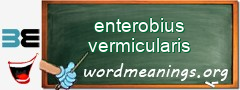 WordMeaning blackboard for enterobius vermicularis